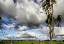 Yiwan28-穆古鲁扎意外战胜TES，刷新纪录引爆全场！引发球迷热议(任务又失败了西西特最新)